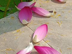 -南戴河国际娱乐中心