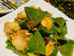 -前海沿·青岛菜(大拇指广场石老人店)