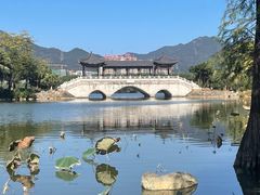 -飞来湖湿地公园