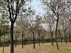 -广东工业大学(大学城校区)