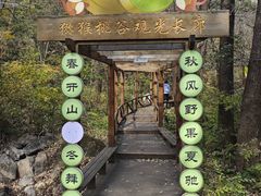 -大岭沟猕猴桃谷风景区