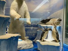 -国家自然博物馆