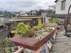 -喵屿·大理花园猫咖