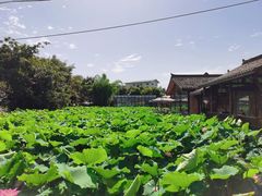 -莫催咖啡