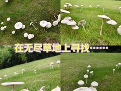 -广州市白云山风景名胜区