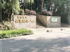 -铁山坪森林公园