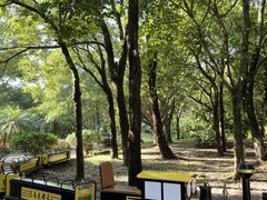 -东南花都花博园