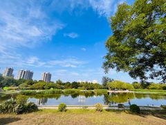-太阳宫公园