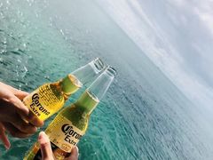 -黄金海岸