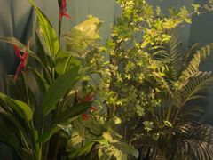 -青春足迹·概念店·小憩足疗SPA