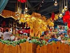 -老滇山寨•云南特色菜•地方菜•民族风情歌舞表演(金碧店)