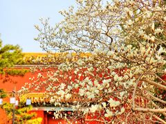 -北京市劳动人民文化宫(太庙)
