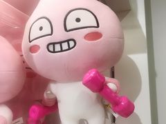 -KAKAO FRIENDS(弘大店)