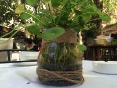 -新竹里馆·花园餐厅(兴苑路店)
