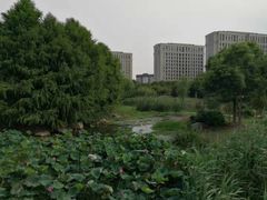 -海天湖公园