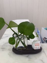 -杭州奥拉克医疗美容门诊部