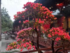 -钱王祠