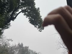 -笨罗卜浏阳菜馆(太平街店)