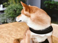 -Moka Bros 摩卡站(嘉华店)