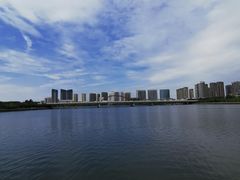 -五缘湾湿地公园