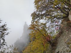 -秦岭终南山世界地质公园翠华山景区
