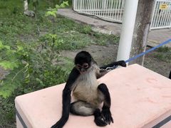 -水上乐园·欢乐世界