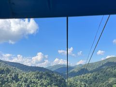 -野象谷景区