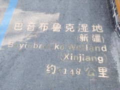-泗洪洪泽湖湿地景区
