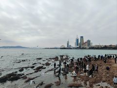 -前海沿·青岛菜(乐客城店)