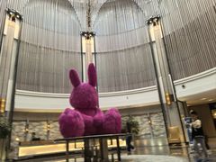 -金石滩绿发温泉假日酒店-海洋之星餐厅