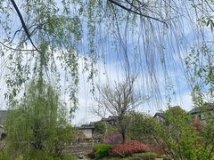 -春色如许·茶食餐厅(桃李春风店)