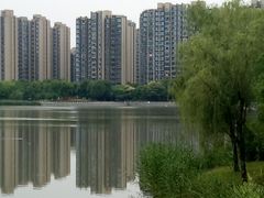 -南翔镇银翔湖公园