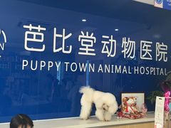 -芭比堂动物医院·24小时·眼科中心(深圳中心)