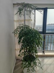 -HEYAN荷妍专业脱毛连锁机构