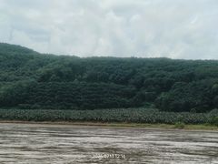 -西双版纳傣族园