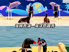 -秦皇岛乐岛海洋王国