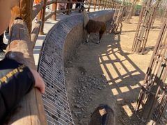 -太原动物园