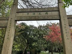 -雨花胜境