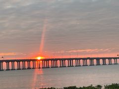 -宝安西湾红树林湿地公园