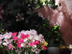 -春暖花开(西溪店)