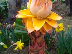 -南通洲际绿博园