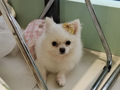 -怪兽屋·羊驼·猫咖·狗咖(俊华广场店)