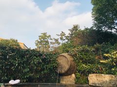 -杭州第一世界大酒店·云曼温泉