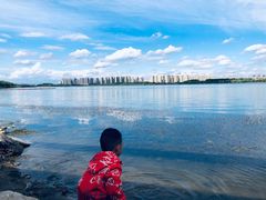 -丁香湖公园