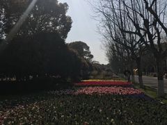 -上海鲜花港