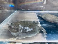 -Zoolung Zoolung动物主题公园(海信广场店)