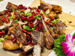 -食为先庐畔渔歌(合作化路店)