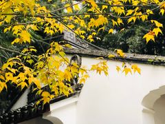 -上海醉白池公园