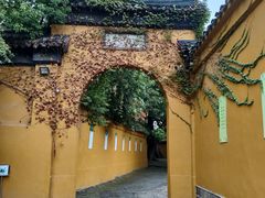 -西园戒幢律寺