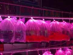 -中环花鸟鱼虫市场